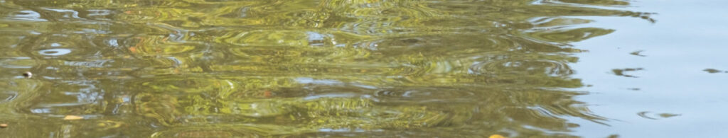 photograph of a water reflection with gold 3/4 and 1/4 blue on the right.  Within gold, can see through to more colors, sand.  The whole appears as though a figure.