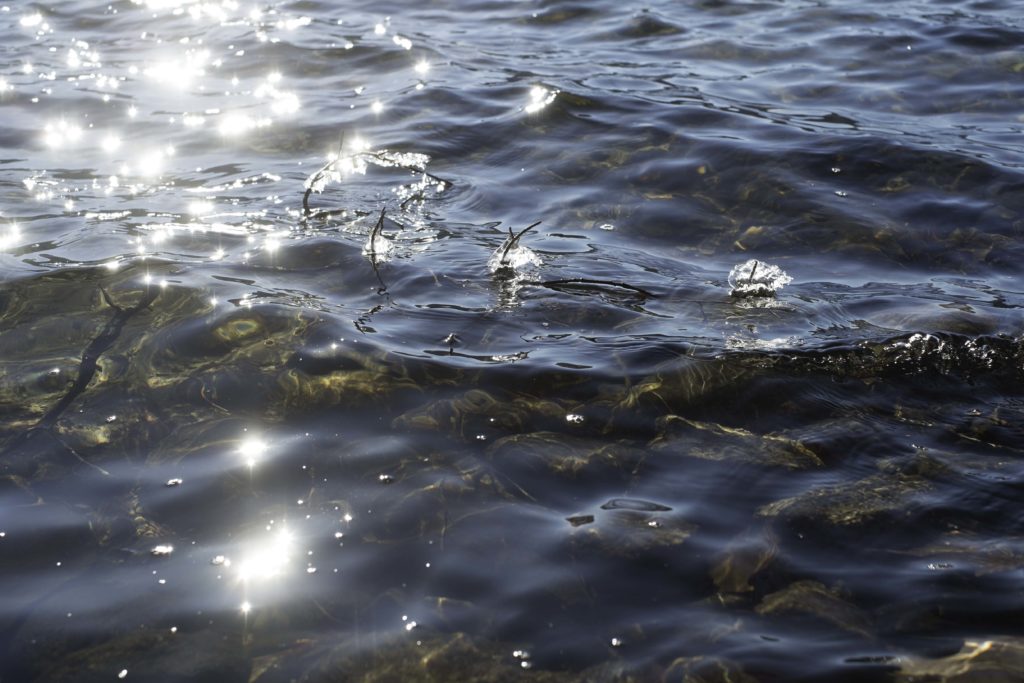 water with ice and sunlight off ice and water