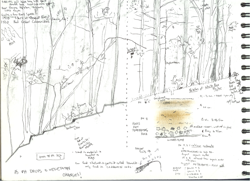 A sketch in a notebook made of white paper, with pencil and earth pigment for soil horizon color.