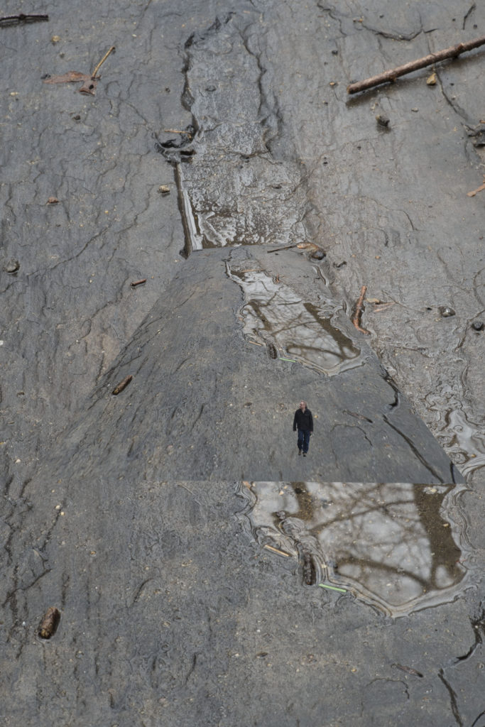 A photograph of a puddle on a schist rock which has enough of an indent to hold some water.